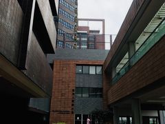 -香港大学