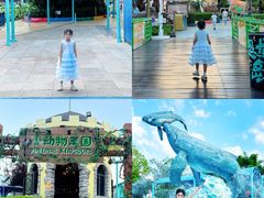 -海合安武汉极地海洋公园