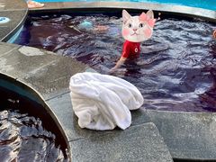 -嘉佑温泉水世界