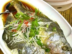 -山海菜馆·海肠捞饭·青岛菜(栈桥店)