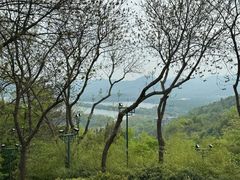 -宝石山