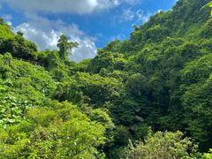 -海口火山口国家地质公园