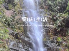 -鼎湖山风景区