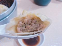 鲜肉鸡汁汤包-笑云开汤包店(网巾市店)