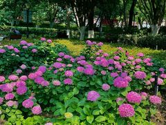 -常州古运河南大街文化旅游区-人民公园