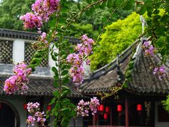 -上海醉白池公园
