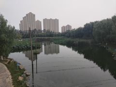 -前关湿地公园