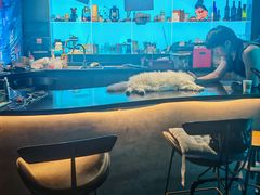 -暗楼·剧本杀·桌游