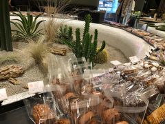 -OUR Bakery(SKP-S店)