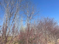 -瀛海足球主题公园