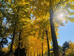 -中家鑫园温泉酒店鑫悦汤泉