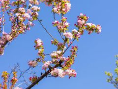 -北京颐和宾馆