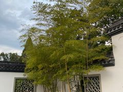 -杭州植物园