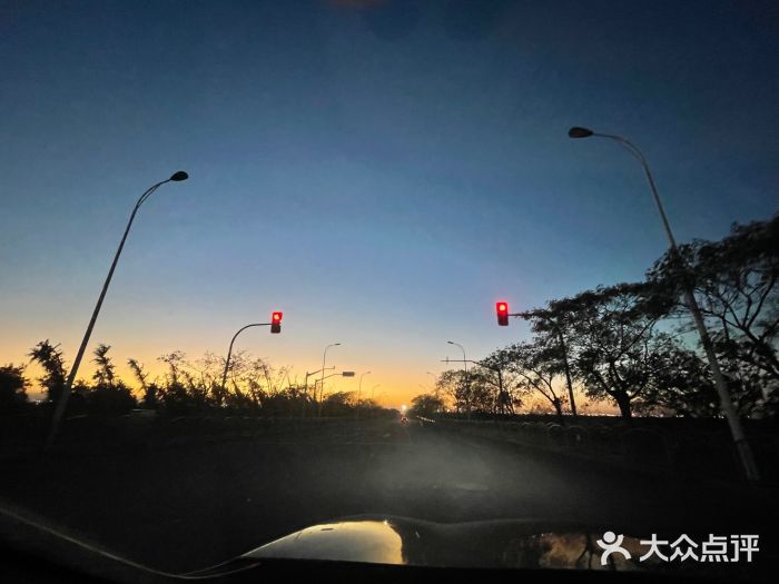 南汇嘴观海公园图片