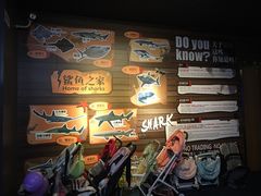 -成都浩海立方海洋公园