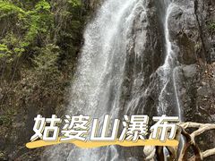 -姑婆山旅游区
