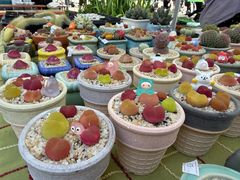 -瑞虹新天地月亮湾