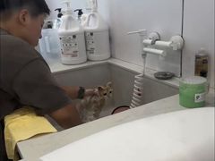 -老吴的猫·猫舍(新区店)