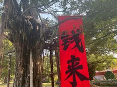 -南宁南湖公园