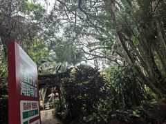 -海南热带野生动植物园