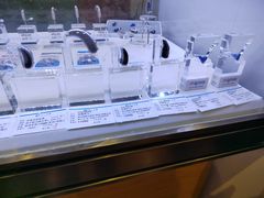 -上海市第一医药商店(南京东路店)