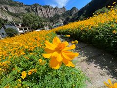 -雁荡山风景名胜区