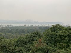 -张坝桂圆林公园