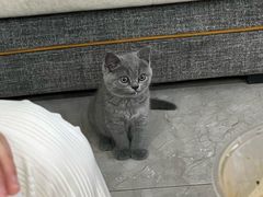 -宠颐生汉谟拉比宠物医院