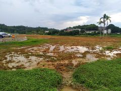 -叶挺将军纪念园