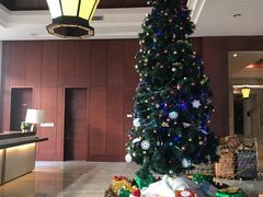 -三清山希尔顿度假酒店