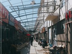 -中环花鸟鱼虫市场