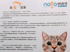 -纳吉亚猫专科动物医院博雅分院