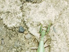 -桂林资江天门山风景区