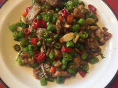 鲜椒牛蛙-碧丽宫大酒店(召稼楼店)