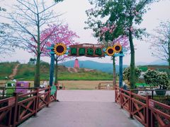 青青农场-盈香心动乐园