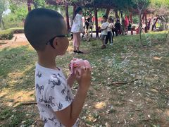 -济南国际园博园