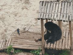 -青藏高原野生动物园