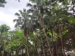-晓港公园