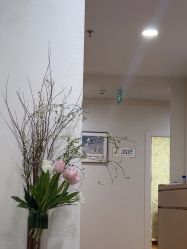-北京叶子整形美容医院