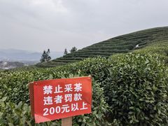 -听风阁农家私房菜茶楼(龙坞店)