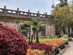 -紫金山天文台