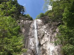 -黑河国家森林公园