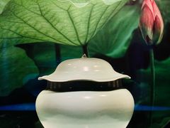 -四川宋瓷博物馆
