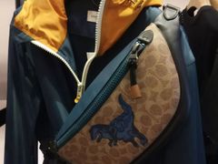 -COACH蔻驰(双安商场店)
