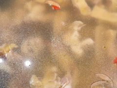 -龙悦湾酒家·八阵鱼生·渔人码头店