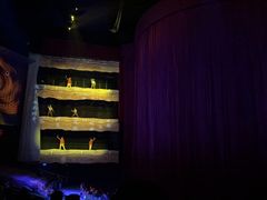 -水秀国际大剧院