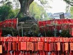 -古堰画乡景区