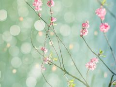 -仟吉KenGee(国贸360店)