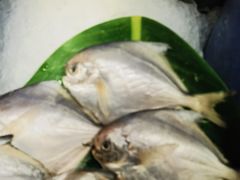 -千家粗粮王(MOMOPARK店)