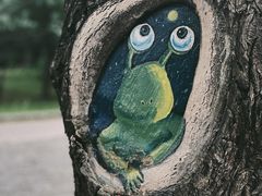 -长白岛森林公园